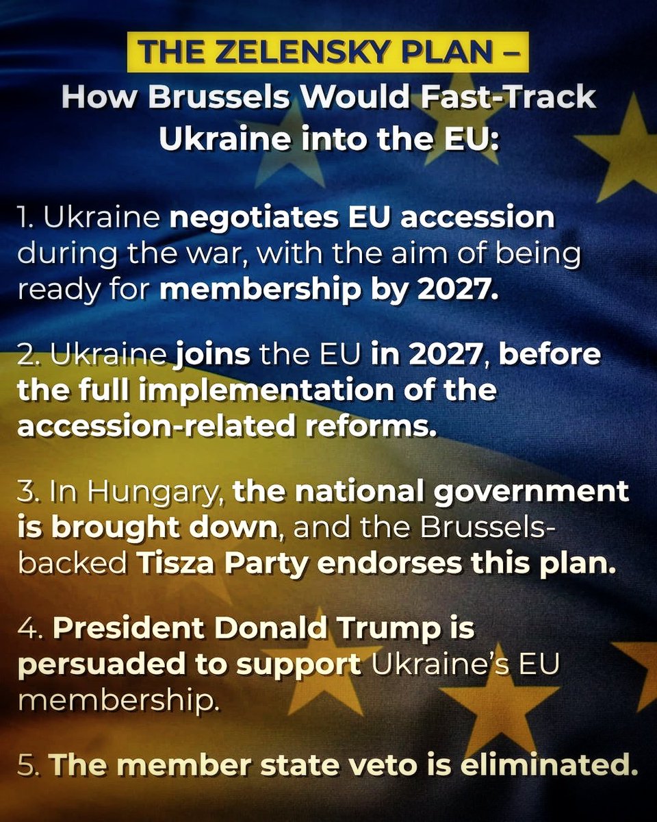 Ukrainian President’s EU Accession Timeline Proposal Sparks Regional Tensions